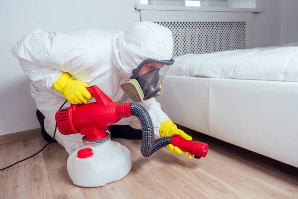 Best Affordable Pest Control Services  in Nokomis, FL