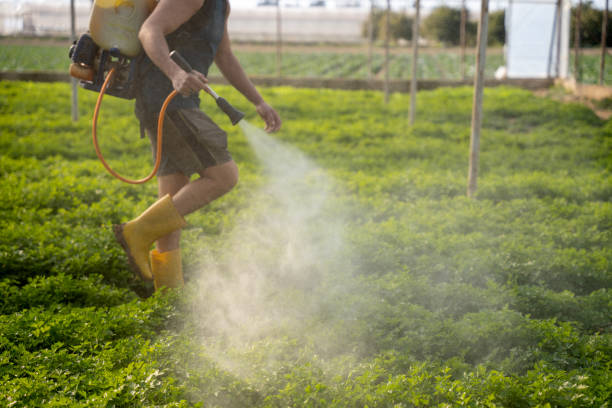 Best Pest Control Cost  in Nokomis, FL