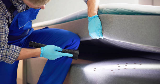  Nokomis, FL Pest Control Pros