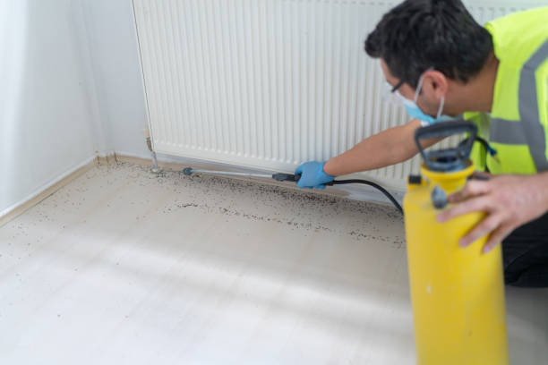 Best Emergency Pest Control  in Nokomis, FL
